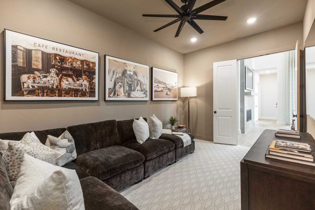 Entertainment Room