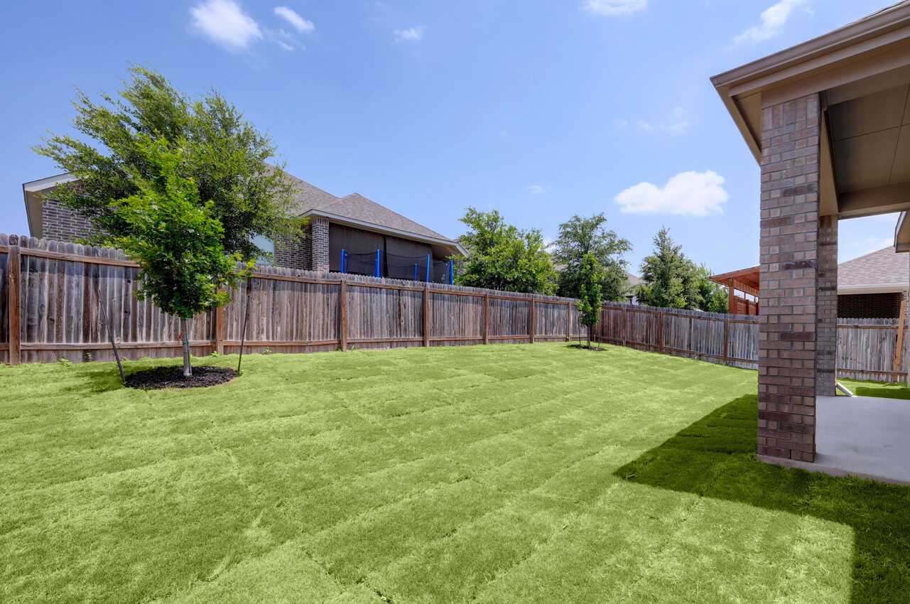Backyard