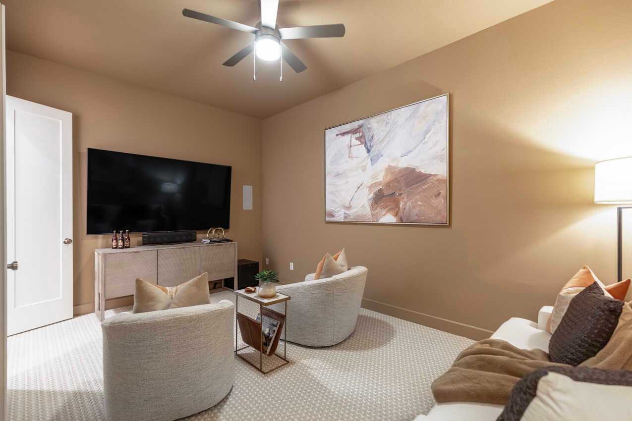 Entertainment Room