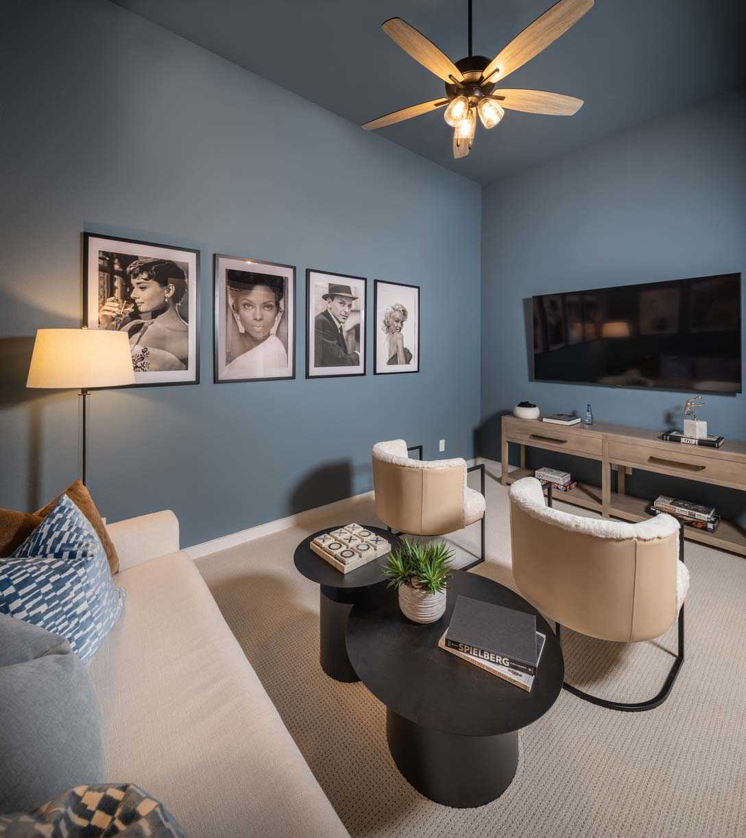 Entertainment Room