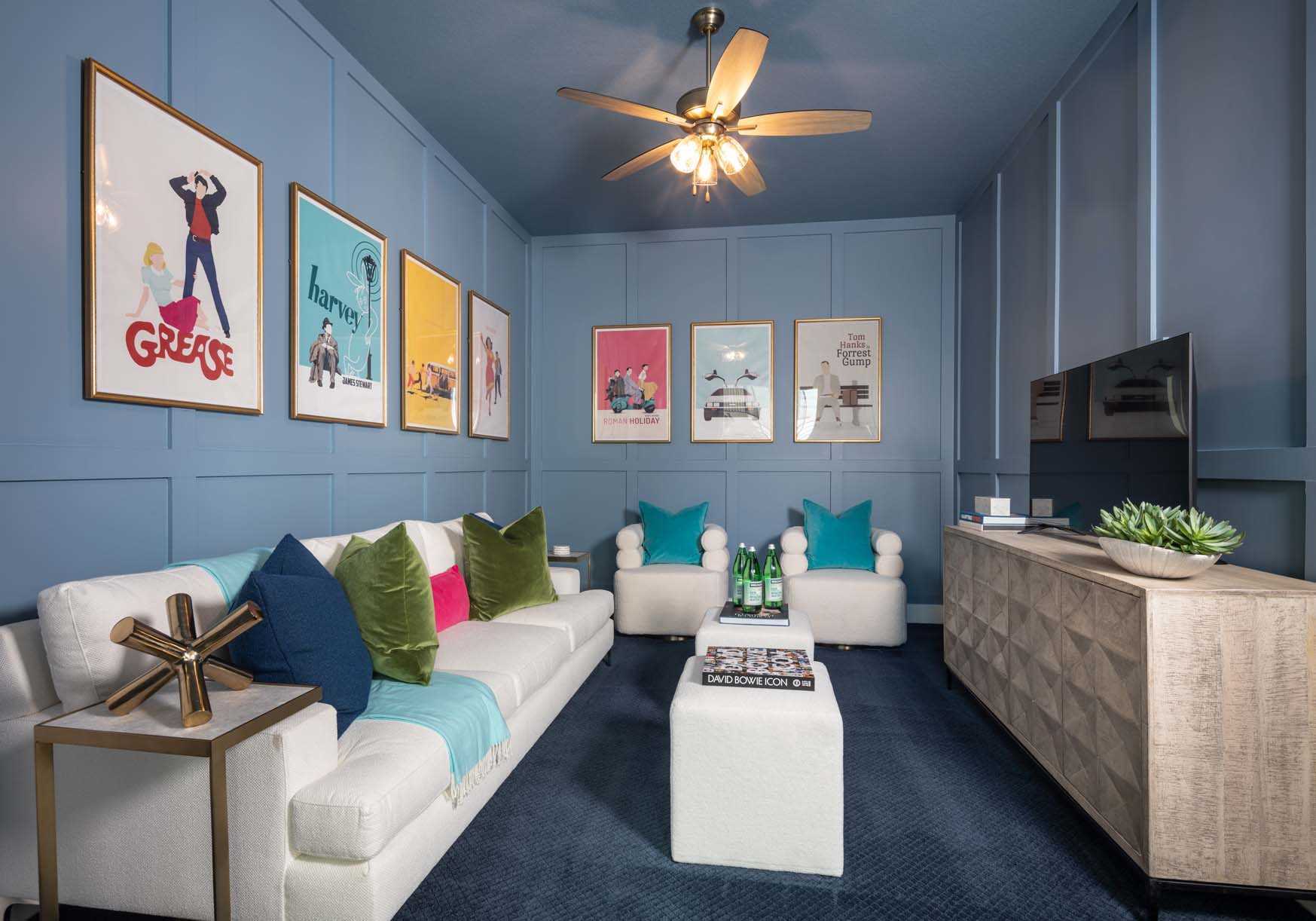 Entertainment Room