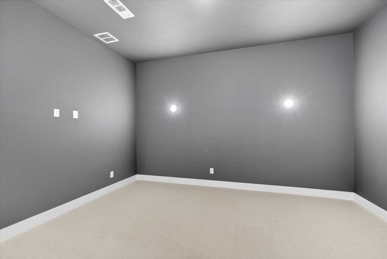Entertainment Room