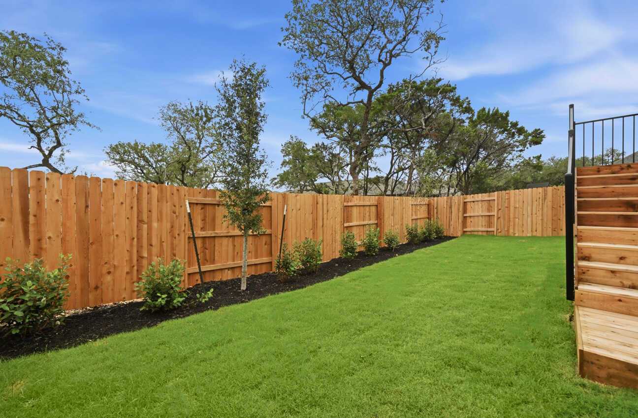 Backyard