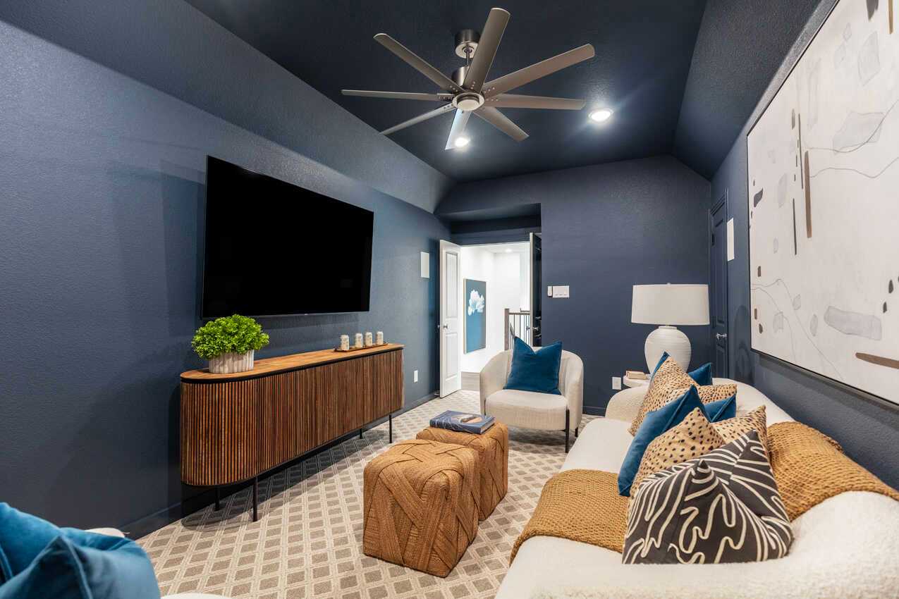 Entertainment Room