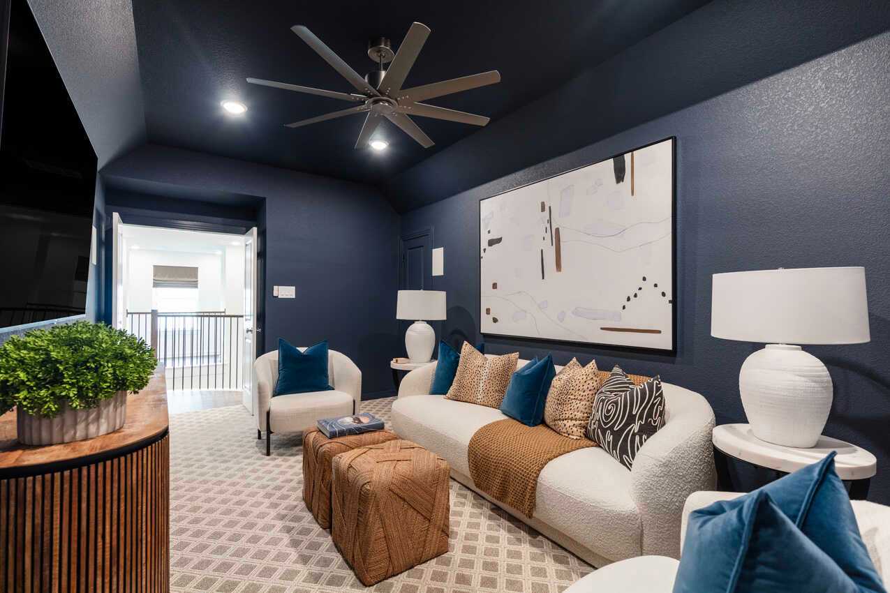 Entertainment Room
