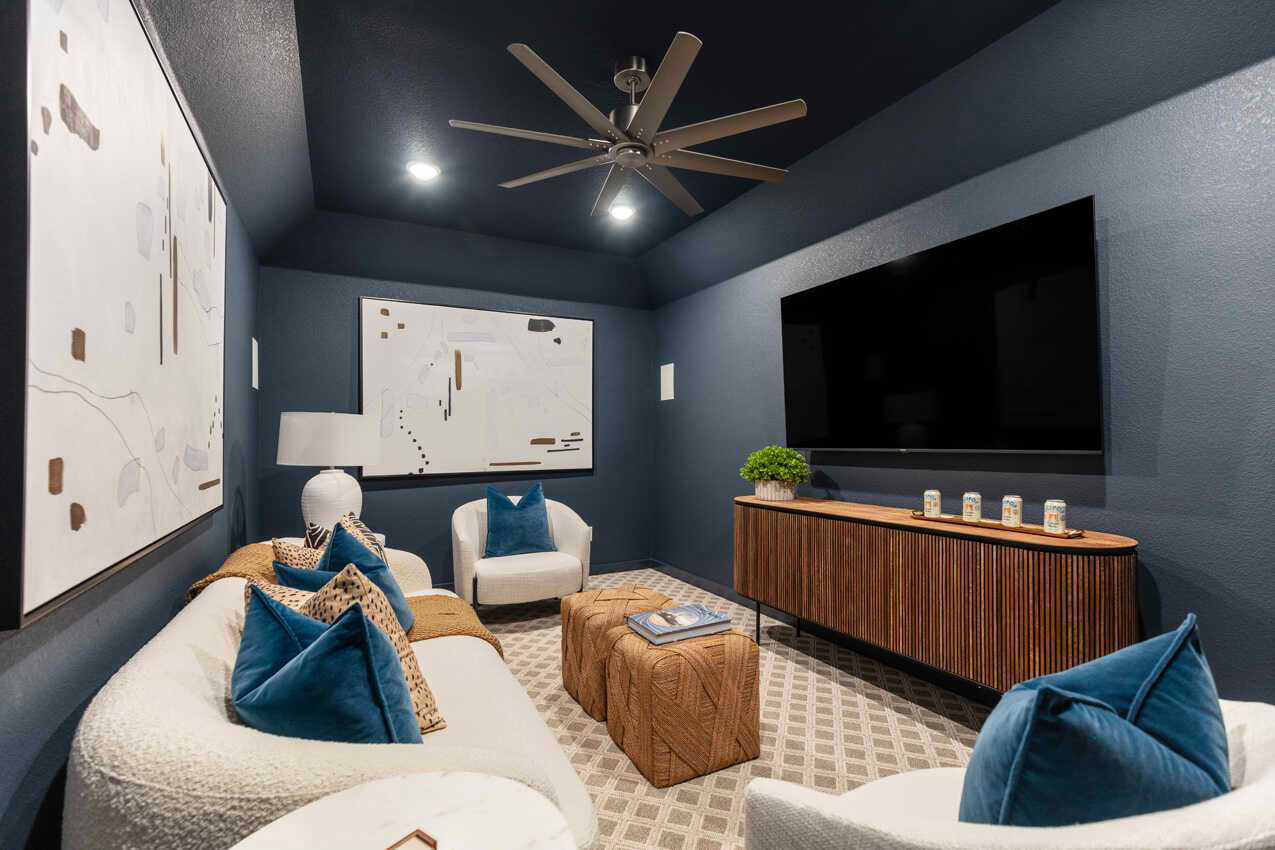 Entertainment Room