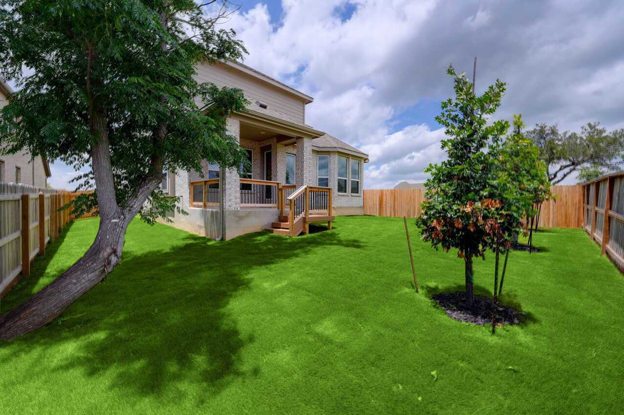 Backyard