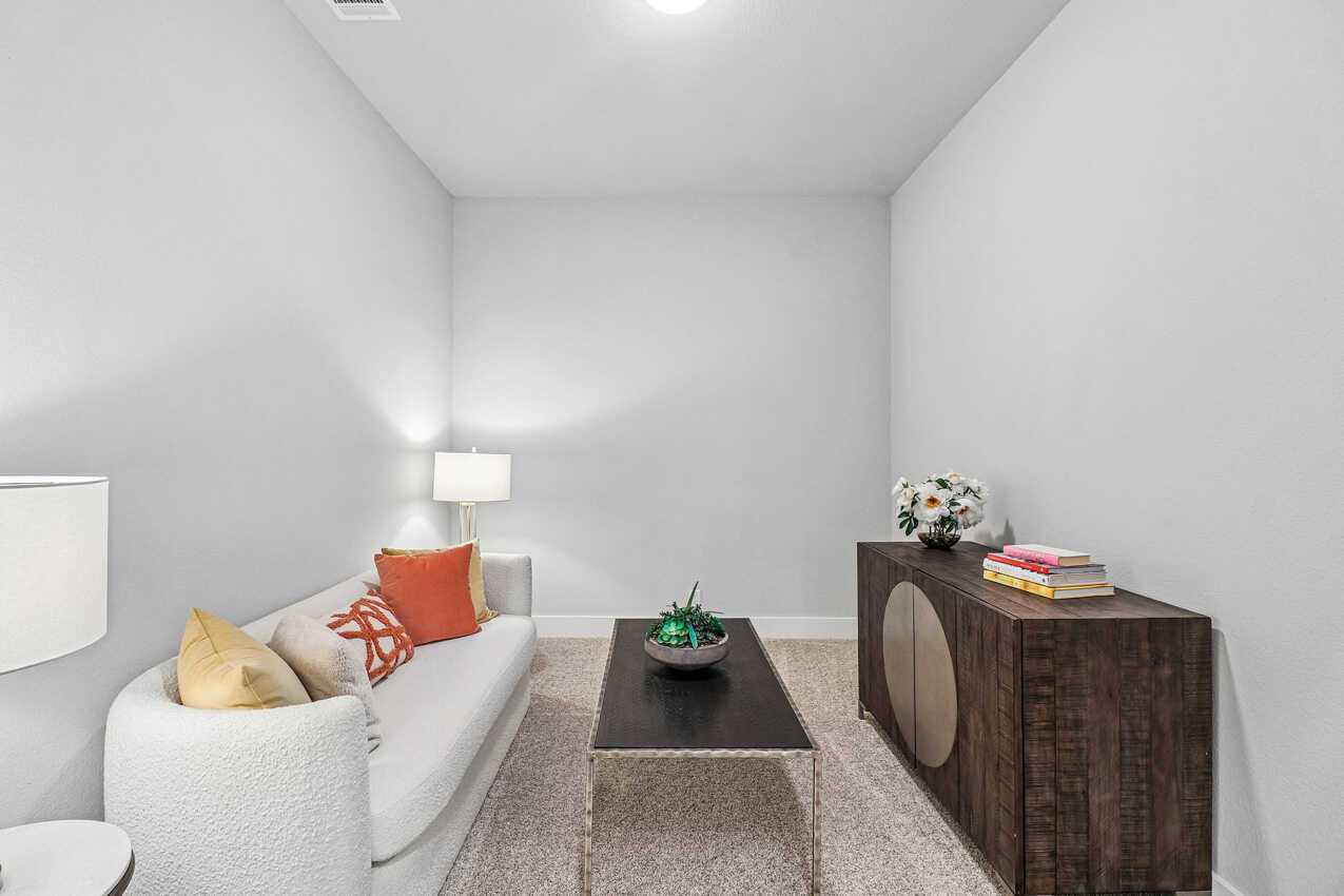 Entertainment Room