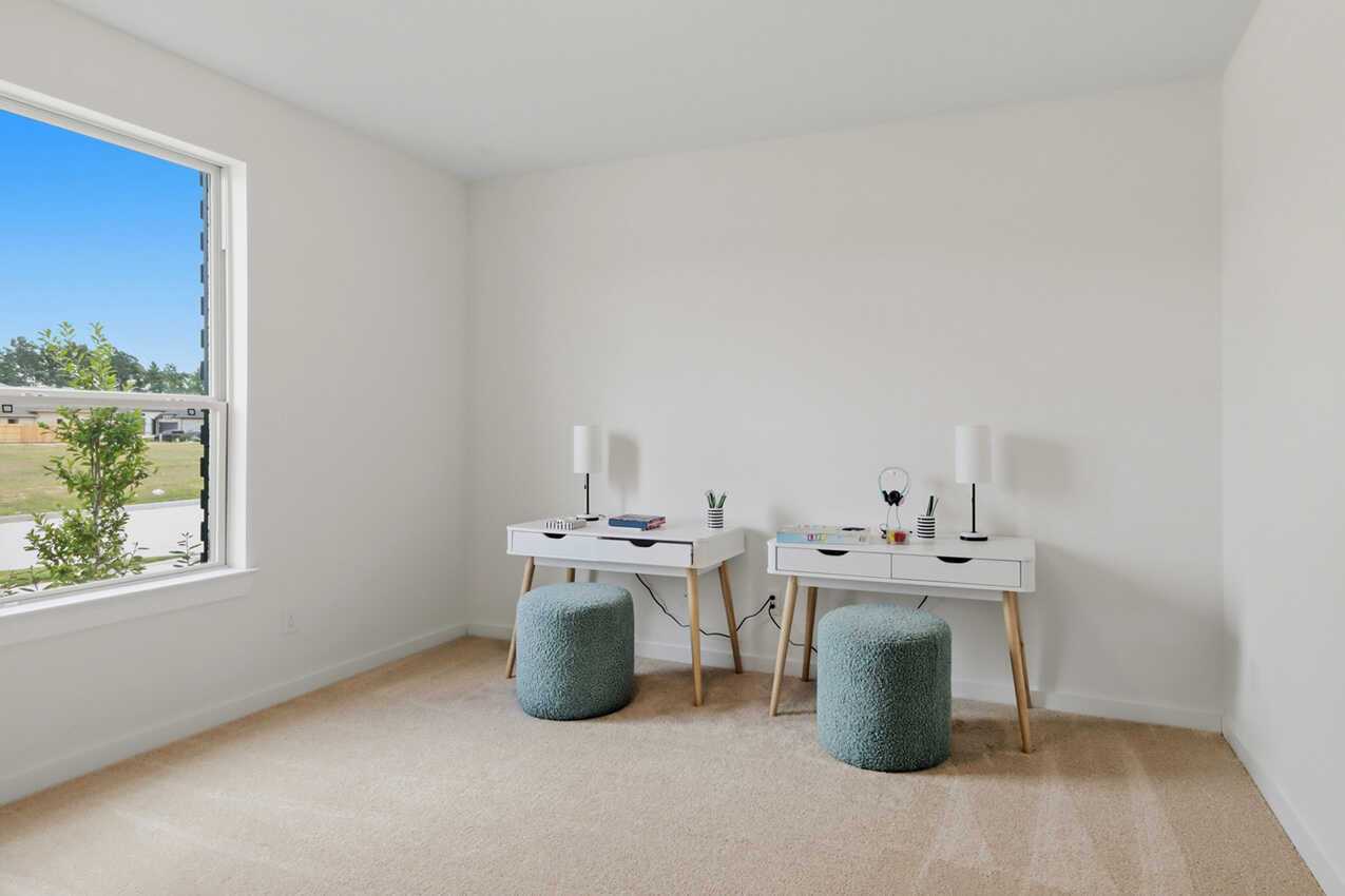 Study