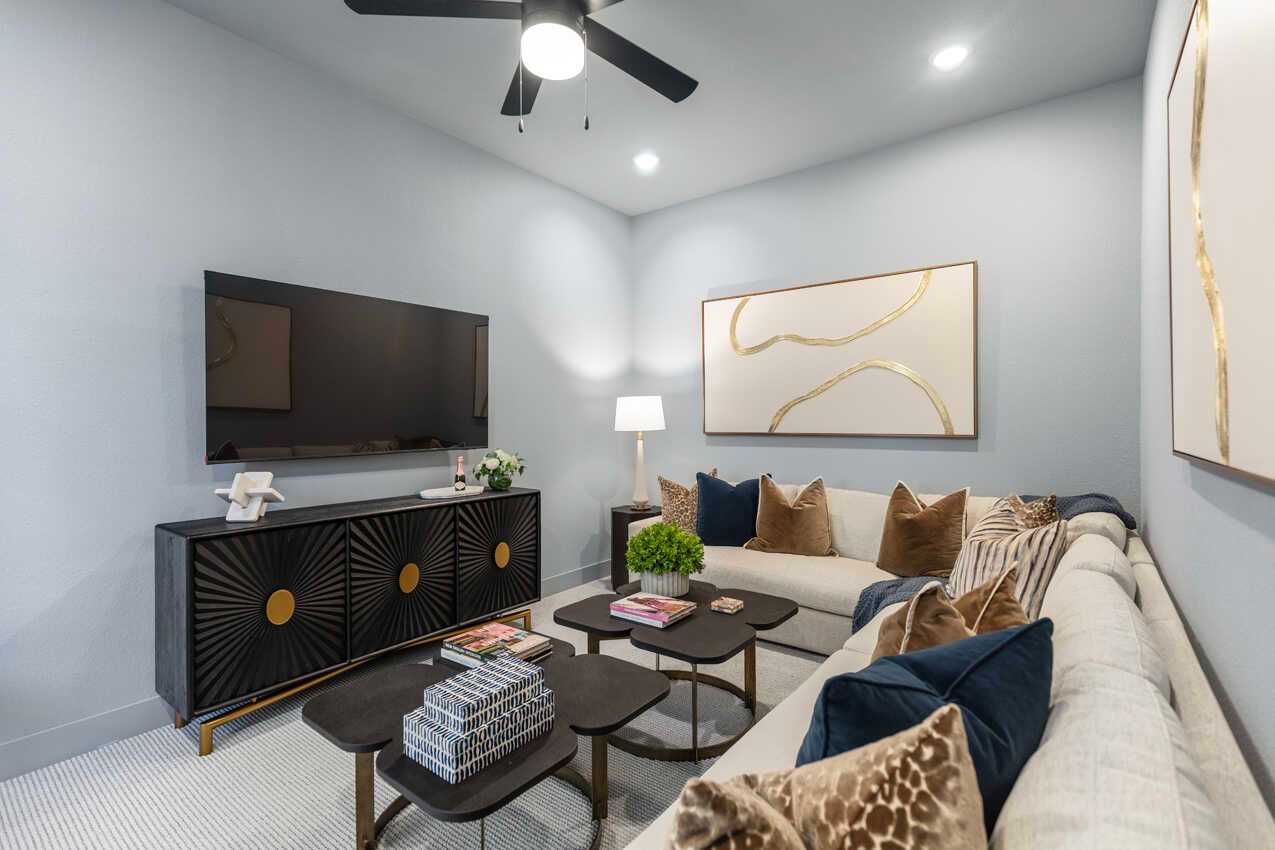 Entertainment Room