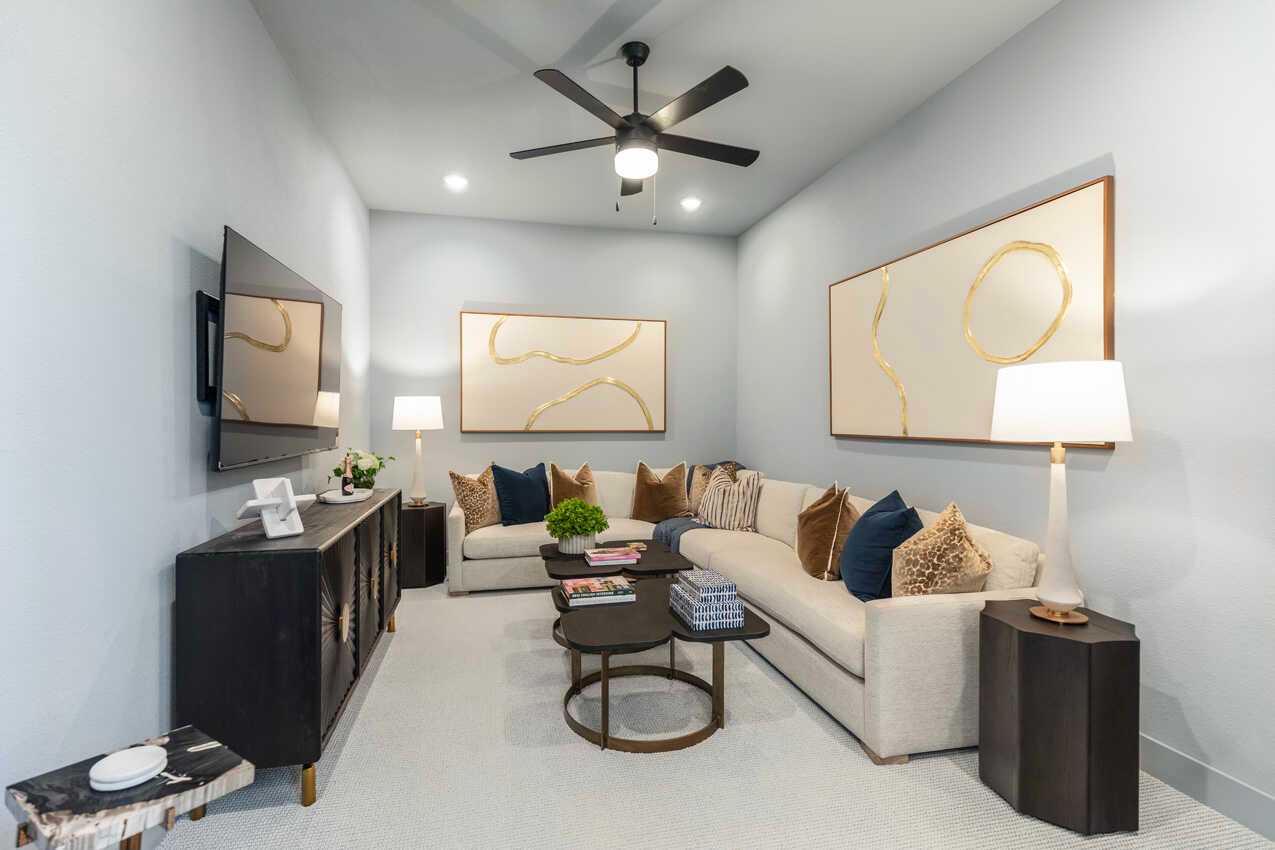 Entertainment Room