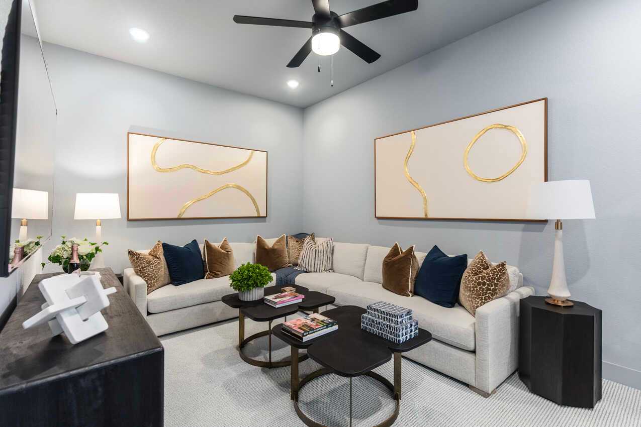 Entertainment Room