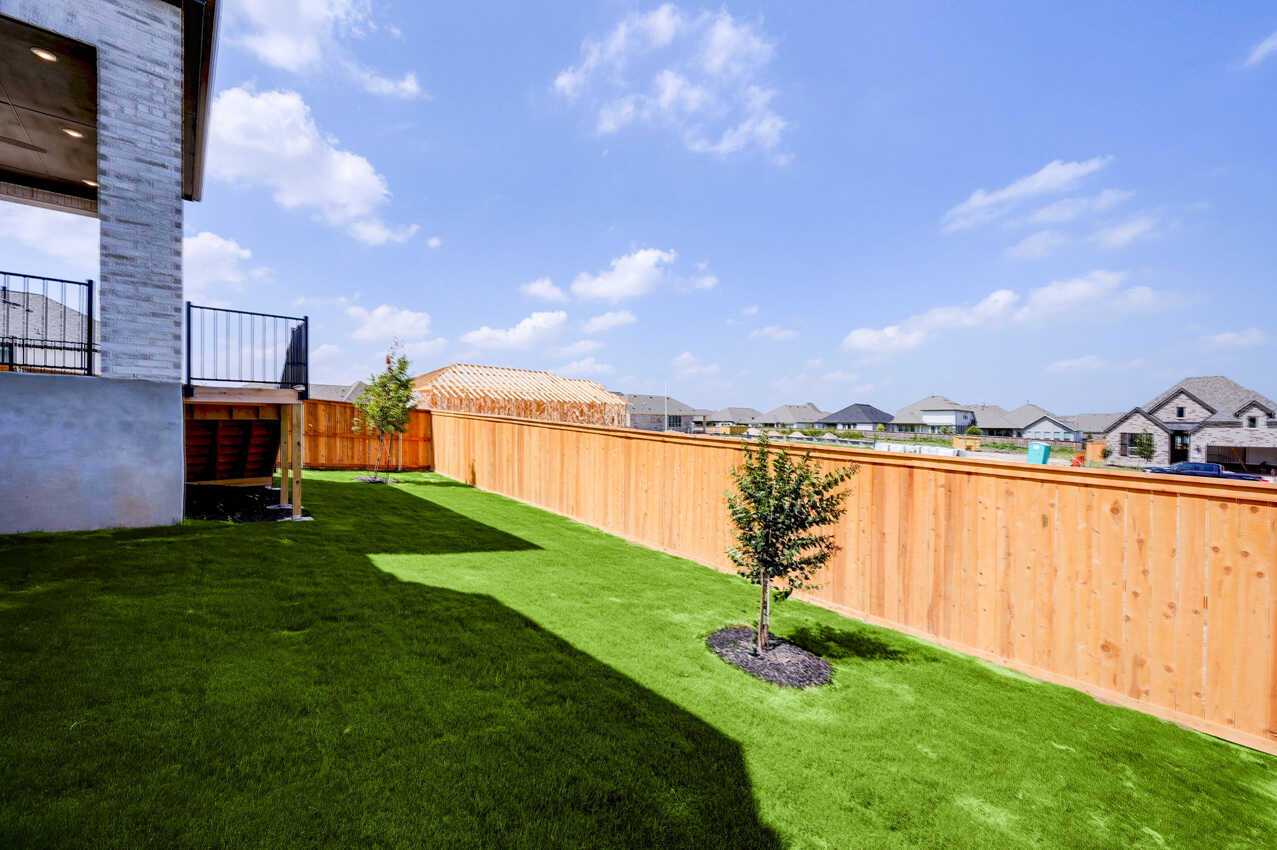 Backyard
