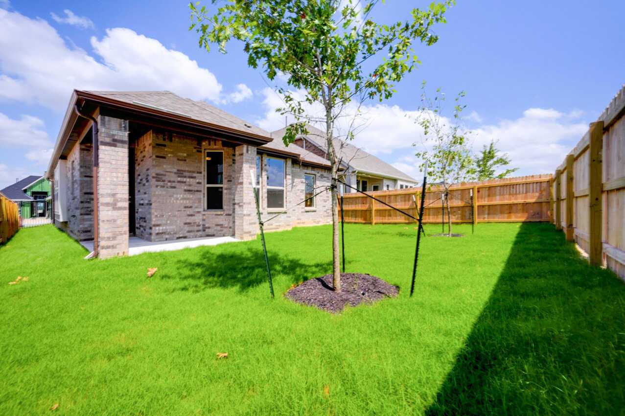 Backyard