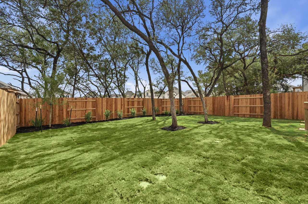 Backyard