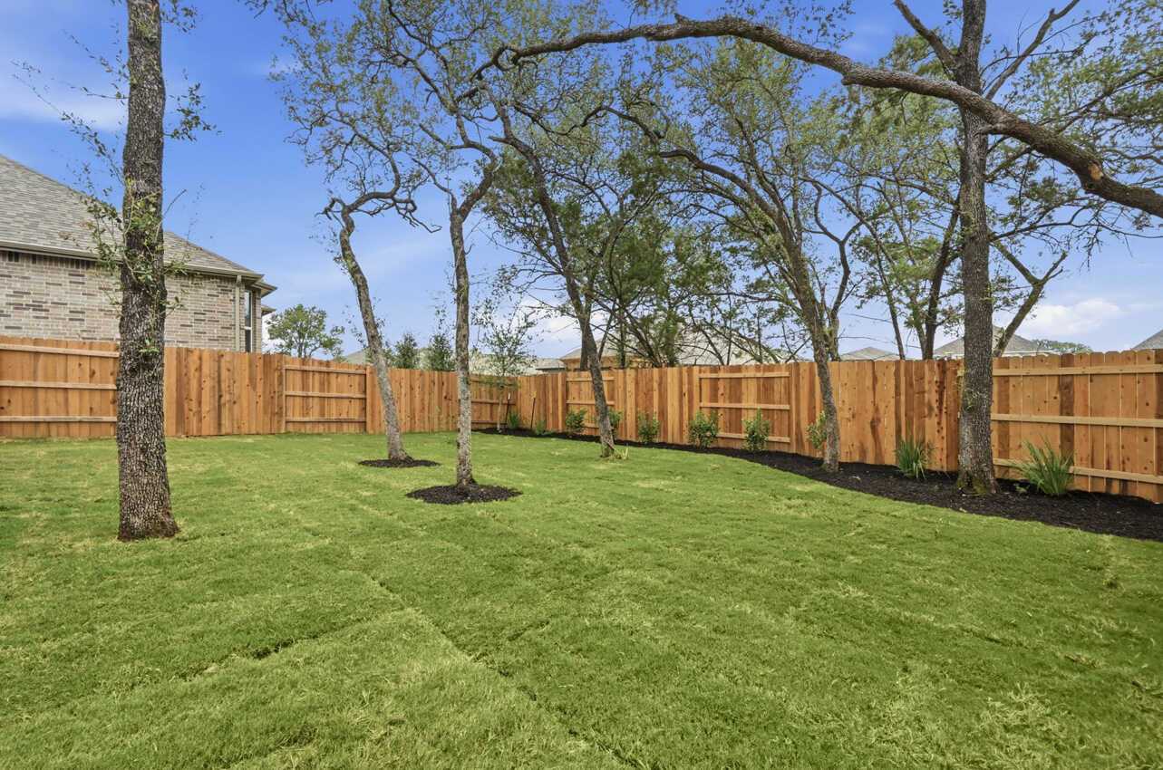 Backyard