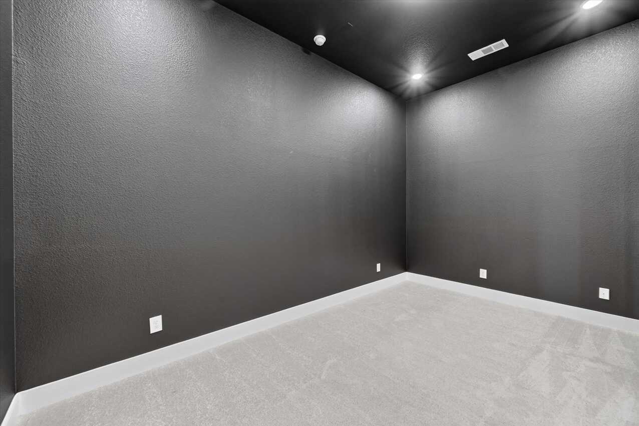 Entertainment Room