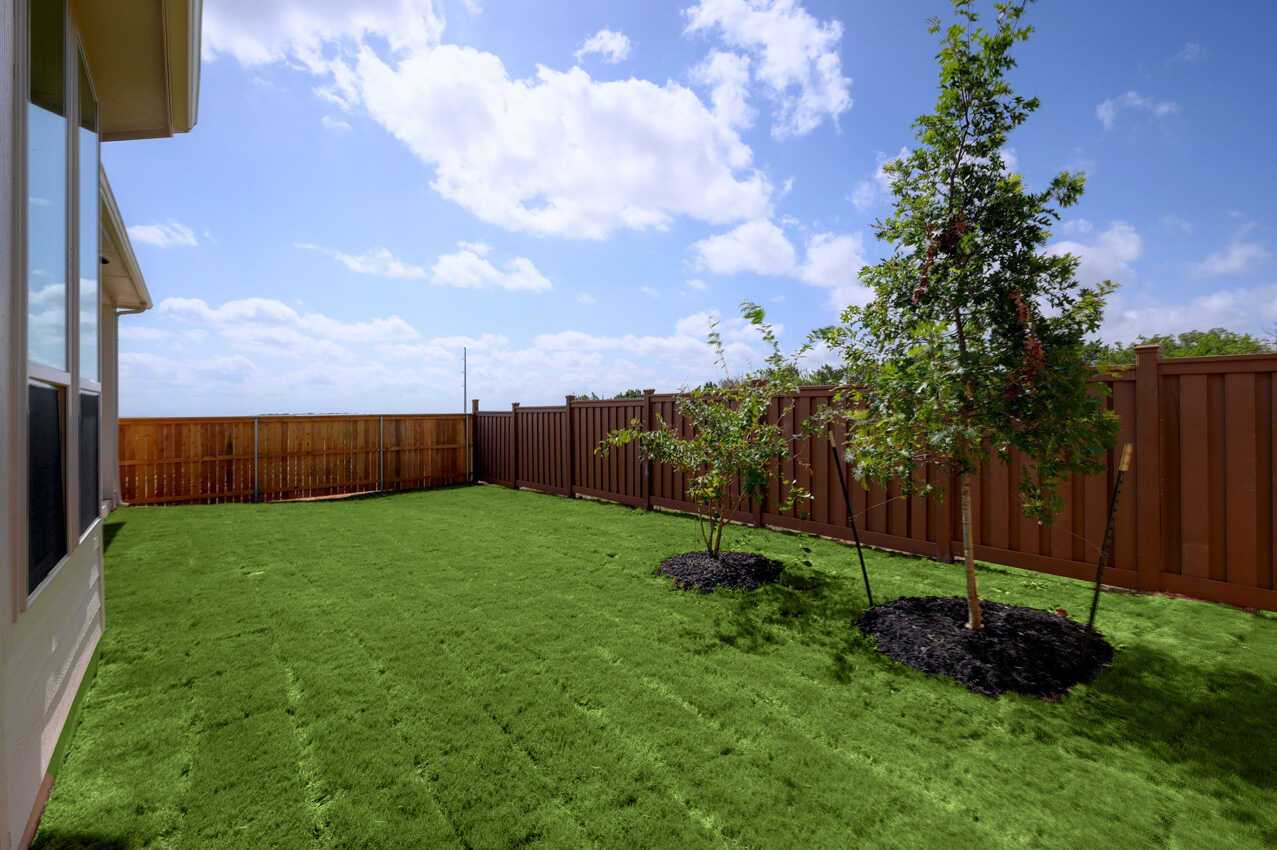 Backyard