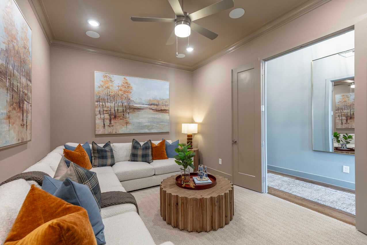 Entertainment Room