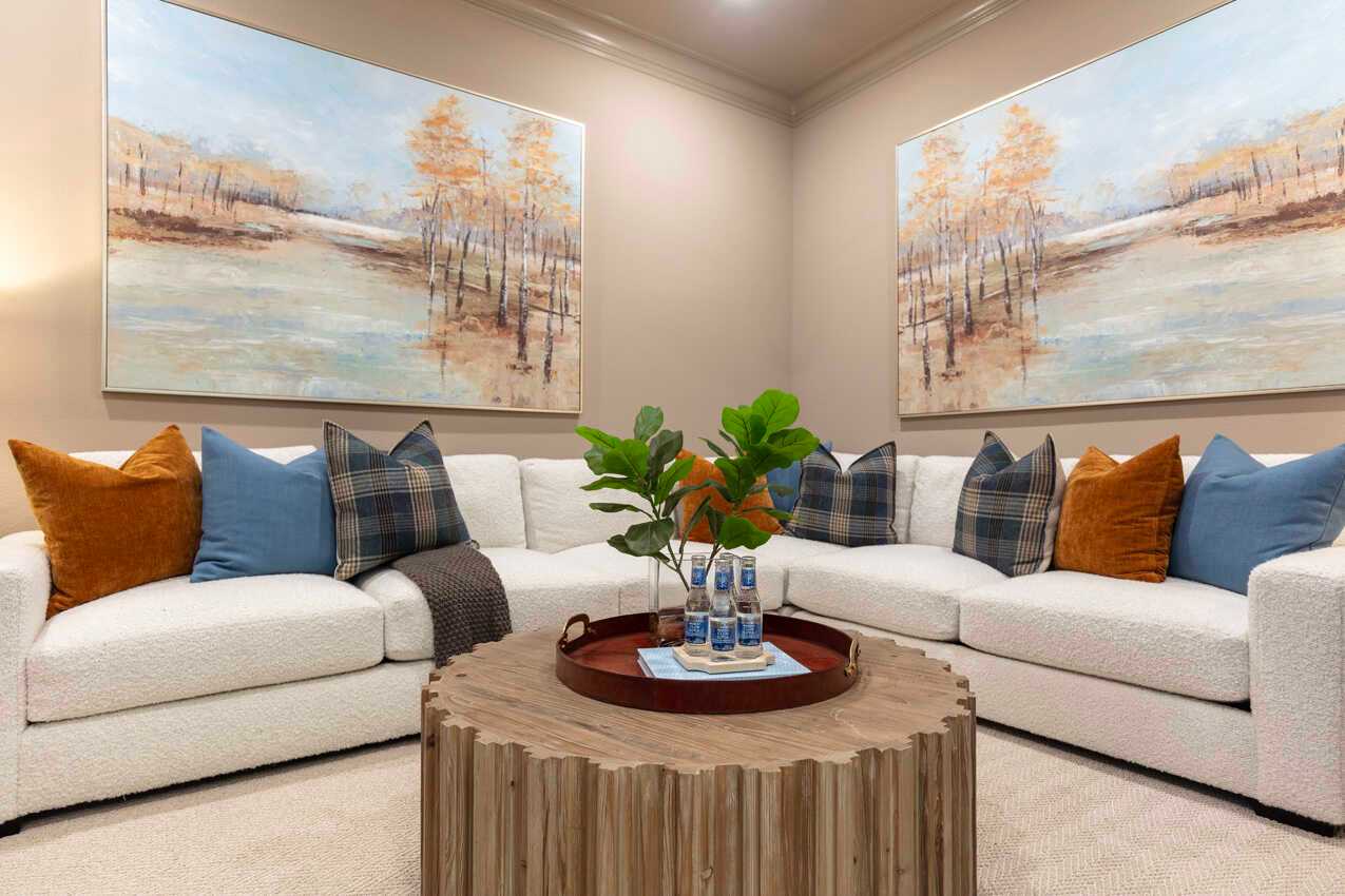 Entertainment Room