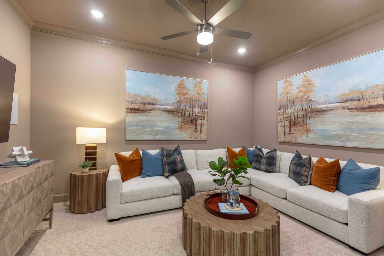 Entertainment Room