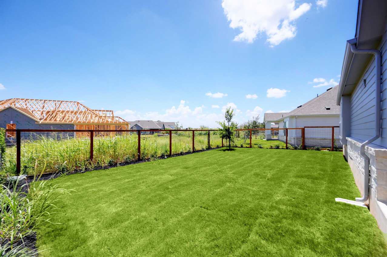Backyard