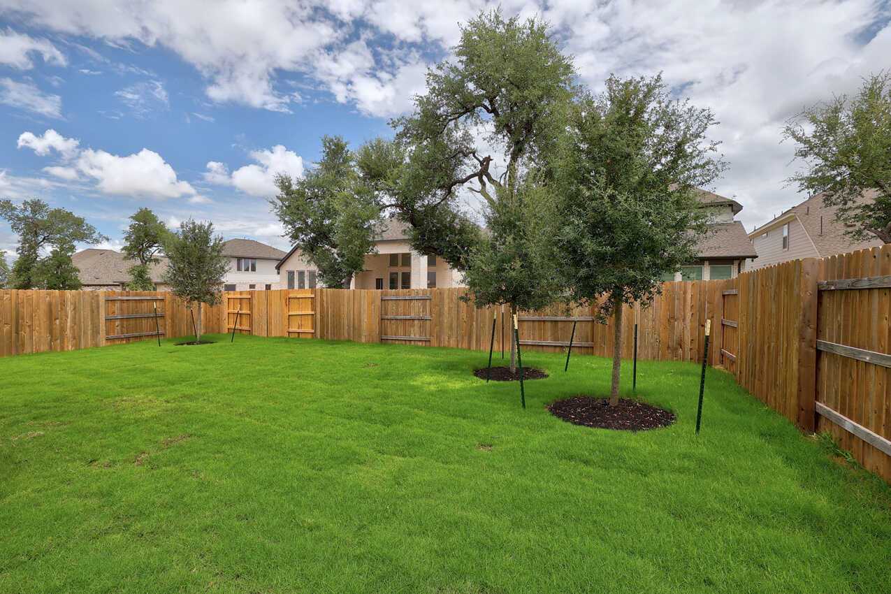 Backyard