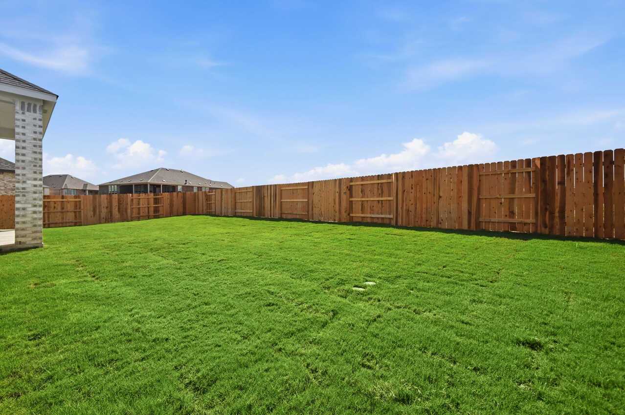 Backyard
