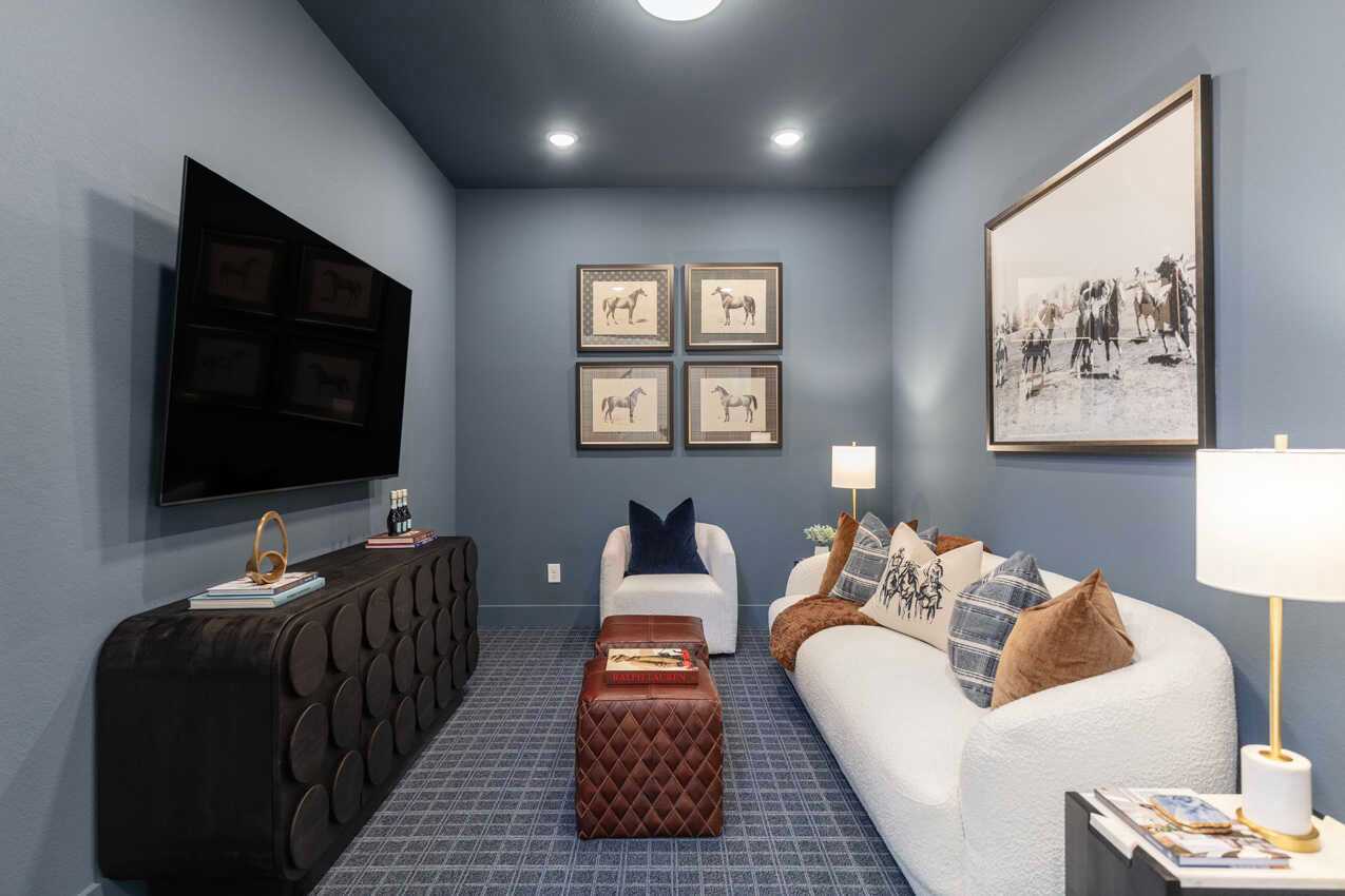 Entertainment Room