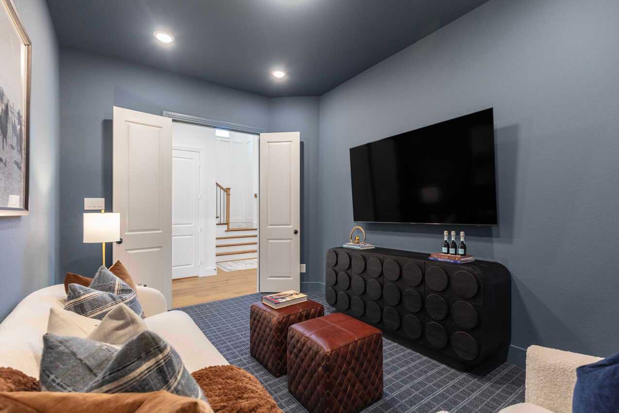 Entertainment Room