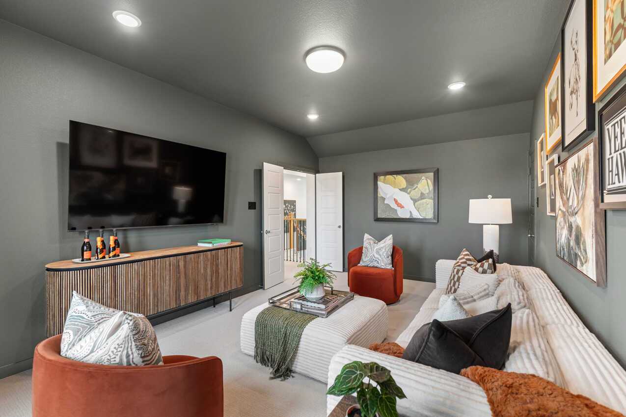 Entertainment Room