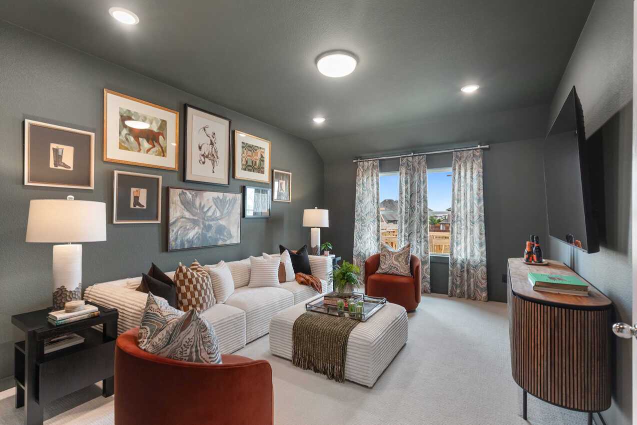 Entertainment Room