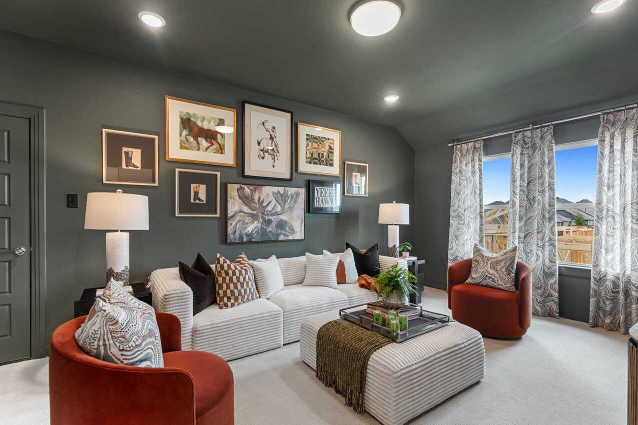 Entertainment Room