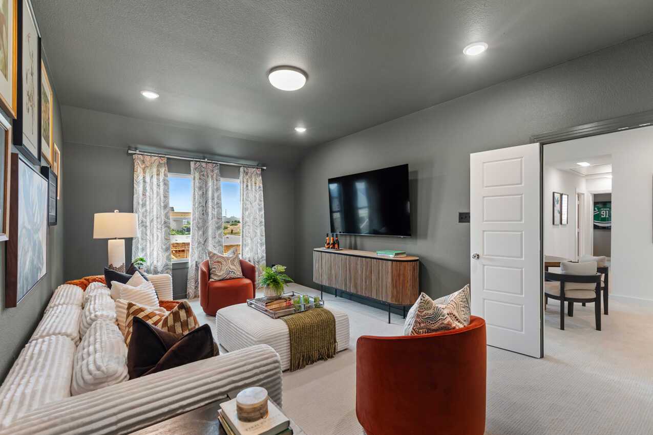 Entertainment Room