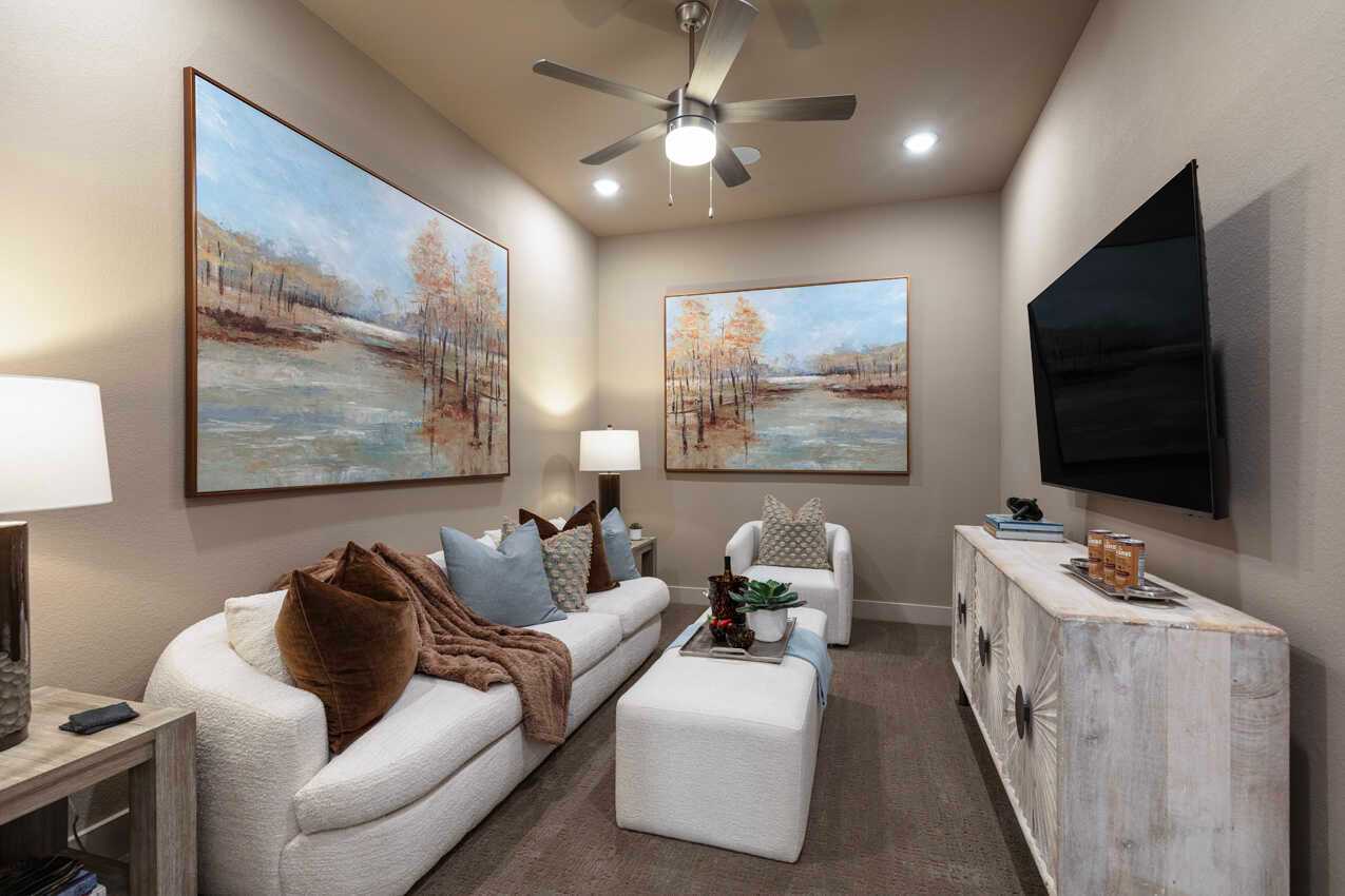 Entertainment Room