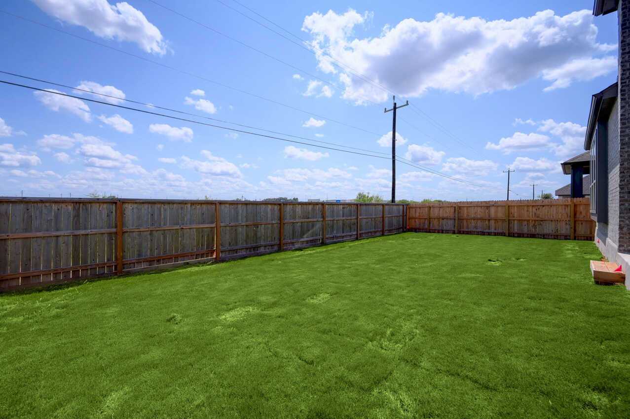Backyard