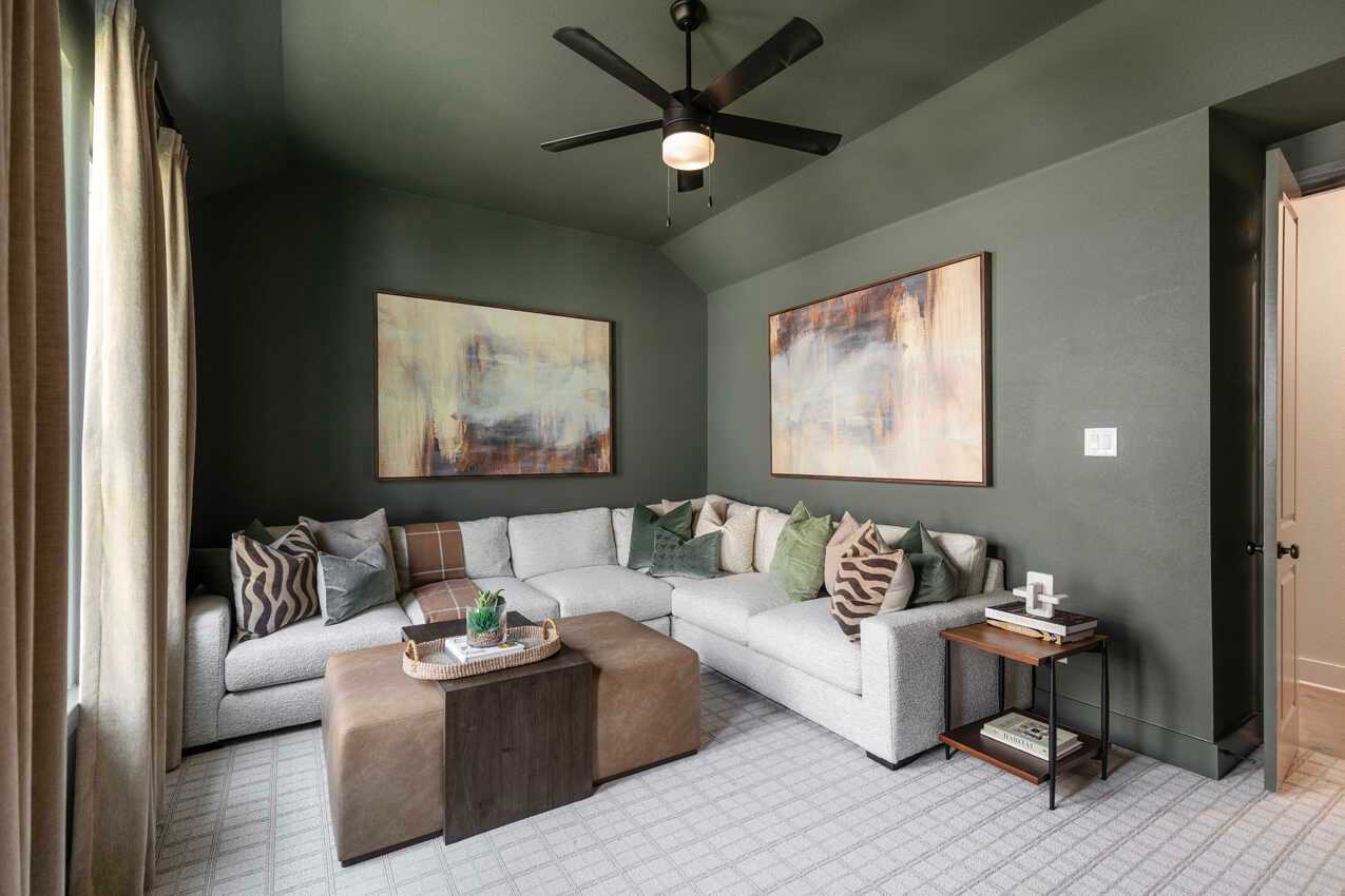 Entertainment Room
