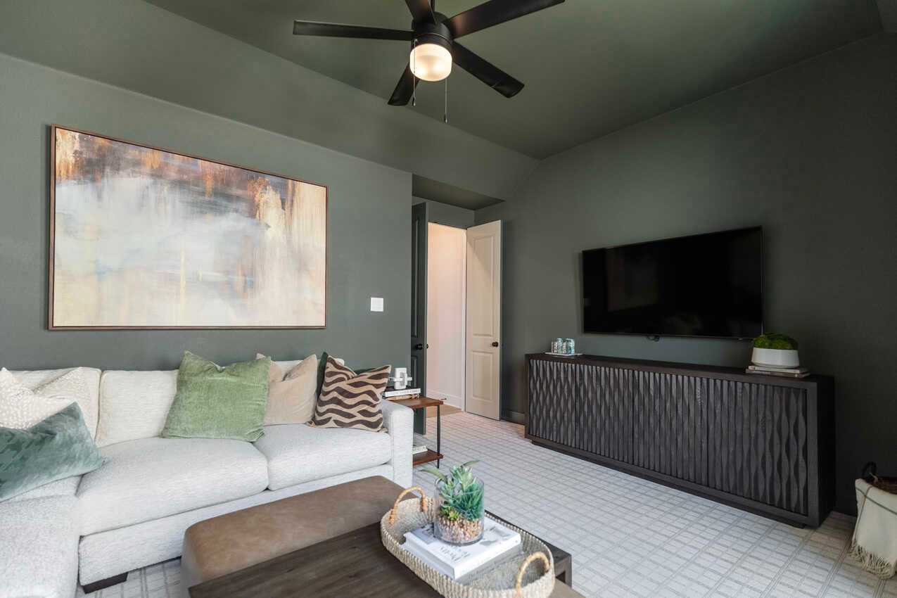 Entertainment Room