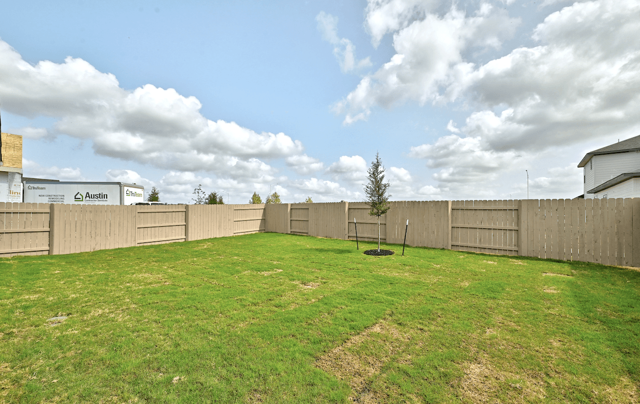 Backyard
