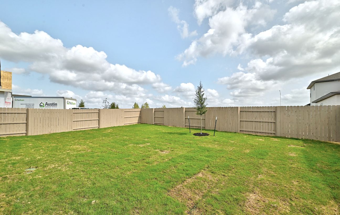 Backyard