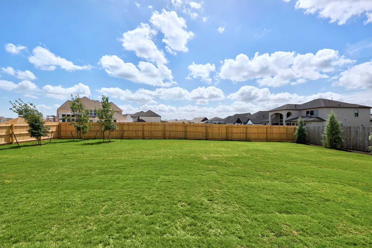 Backyard