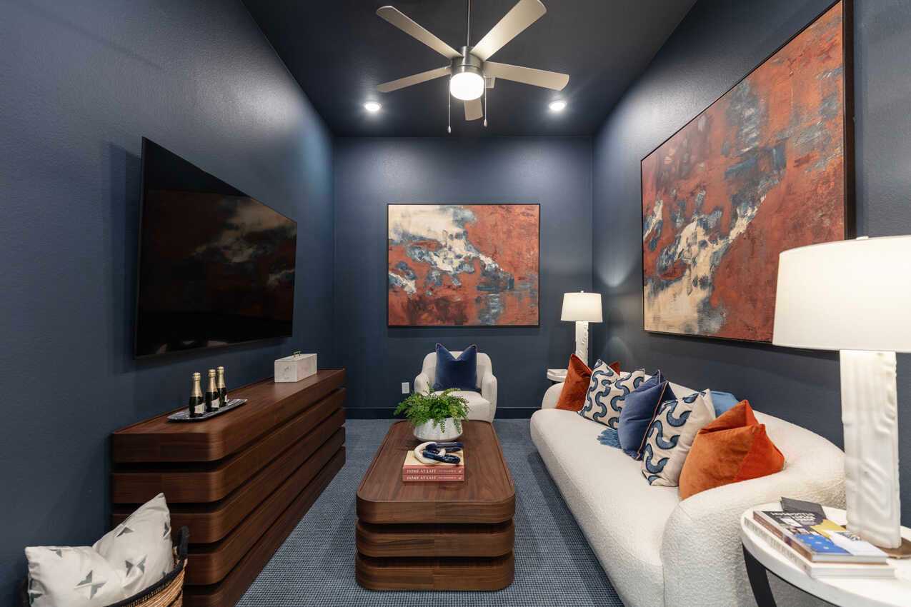 Entertainment Room
