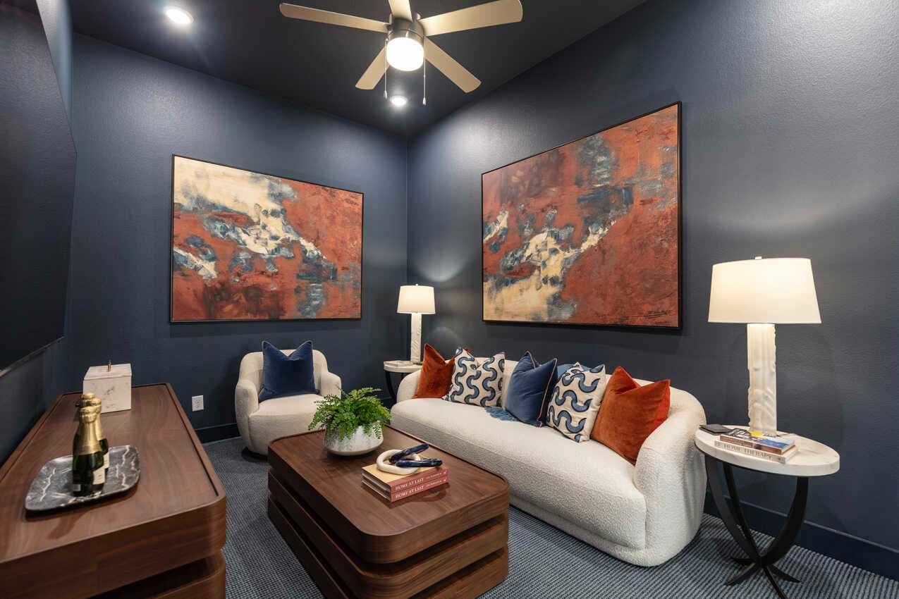 Entertainment Room