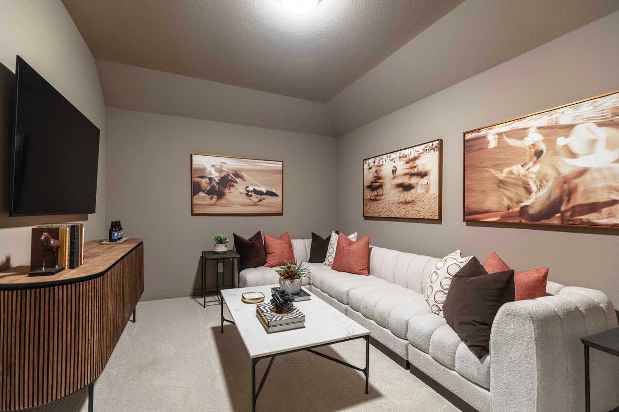 Entertainment Room