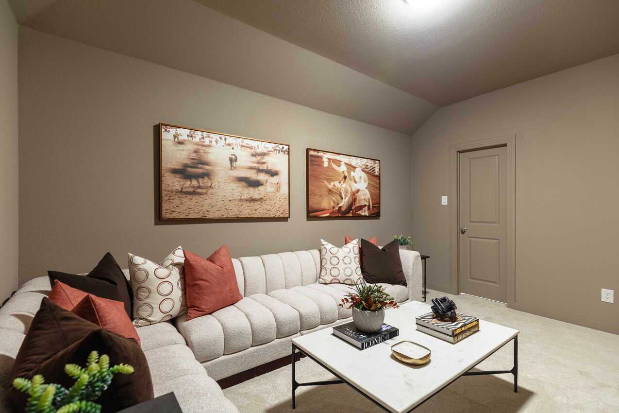 Entertainment Room