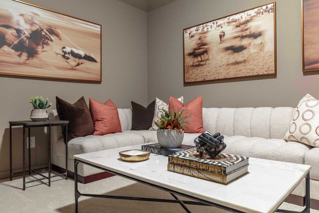 Entertainment Room