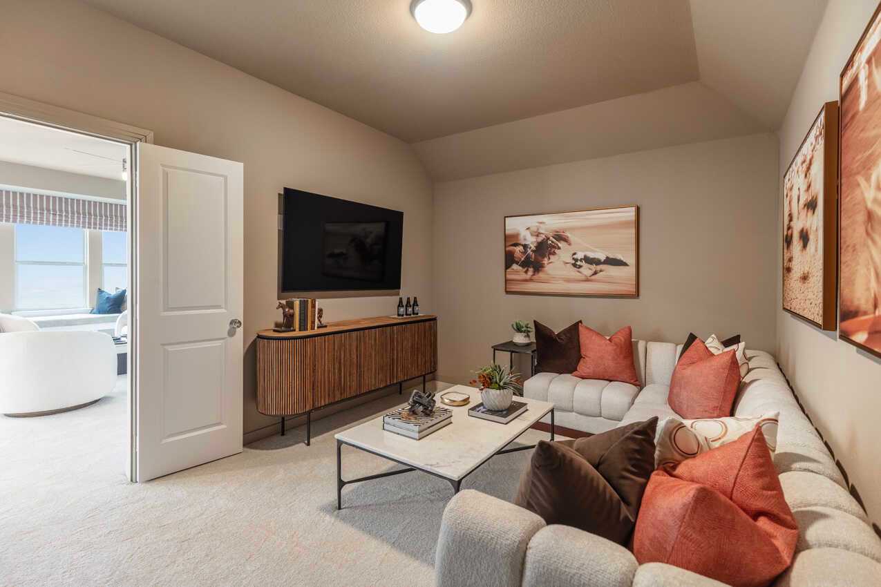 Entertainment Room