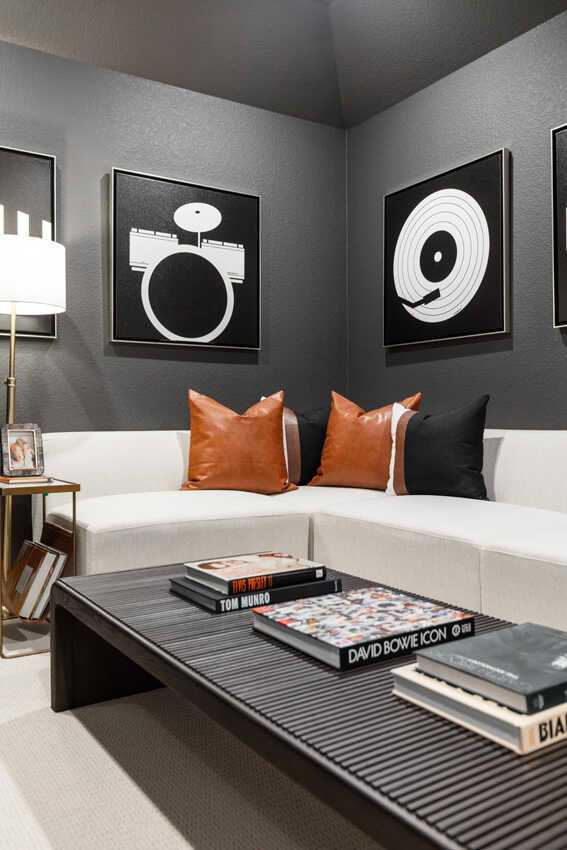 Entertainment Room