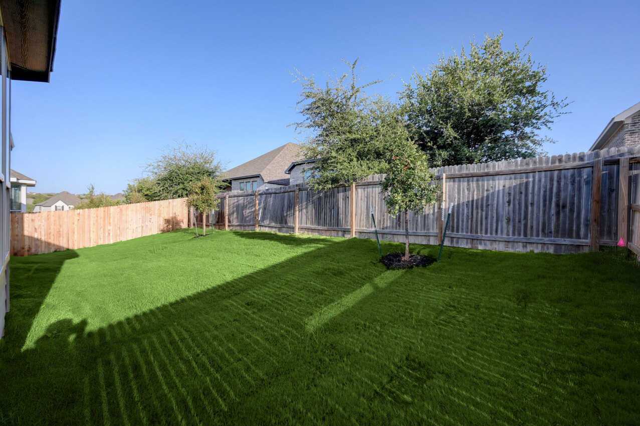 Backyard