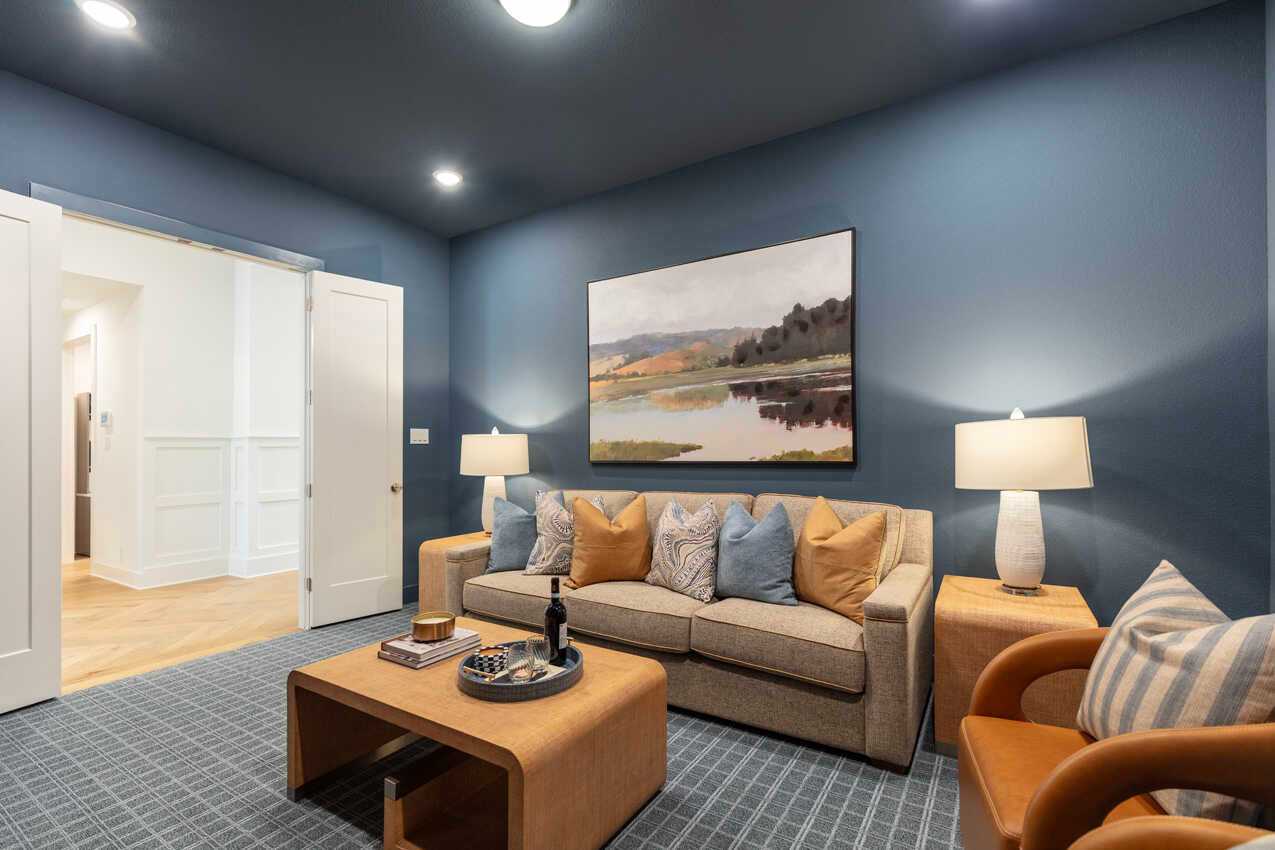 Entertainment Room